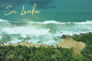 aerial view of waves rolling onto beach with jungle behind in Sri Lanka.