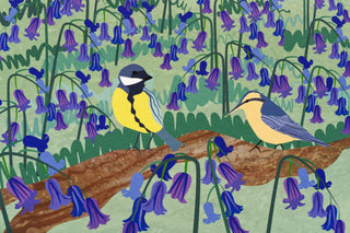 Close-up of great tit and nuthatch birds and bluebells in woodland scene art print by South Island Art.